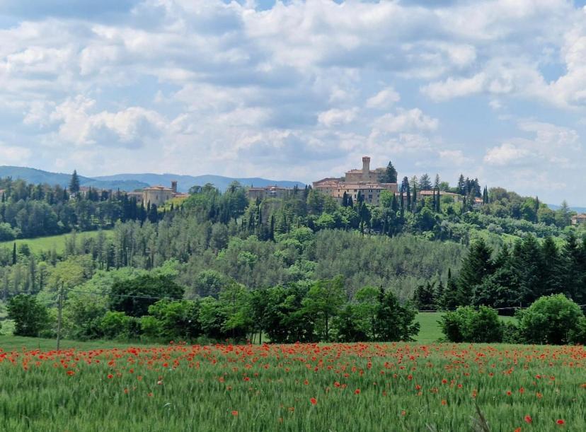 La Casina Di Bonucci Apartment